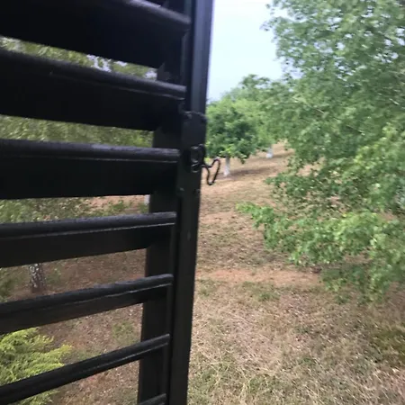 Seosko Turisticko Domacinstvo Jolovic Veles Дом отдыха