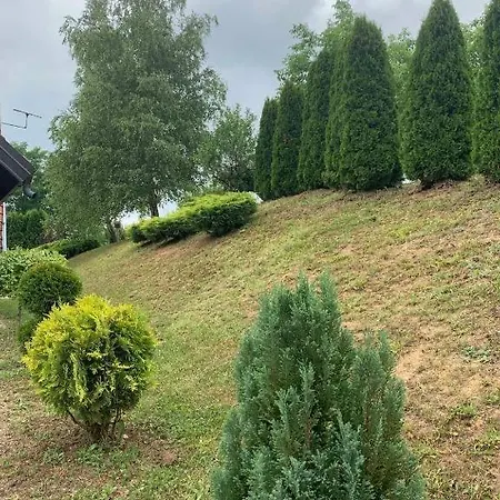 Seosko Turisticko Domacinstvo Jolovic Veles Holiday home Guca