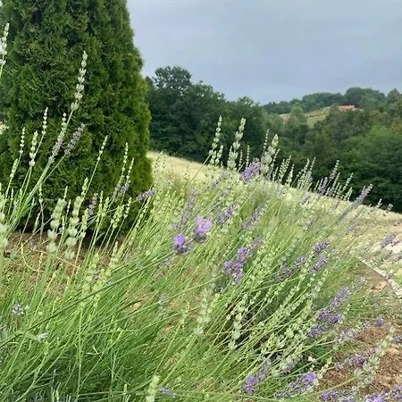 Дом отдыха Seosko Turisticko Domacinstvo Jolovic Veles Гуча