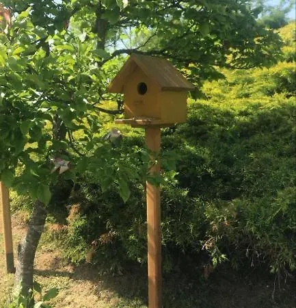 Seosko Turisticko Domacinstvo Jolovic Veles * Guca