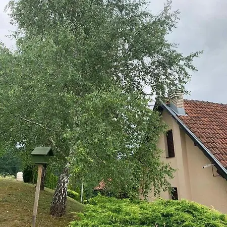 Seosko Turisticko Domacinstvo Jolovic Veles Holiday home Guca