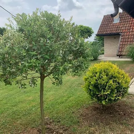 Holiday home Seosko Turisticko Domacinstvo Jolovic Veles