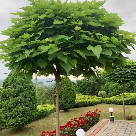 Seosko Turisticko Domacinstvo Jolovic Veles Дом отдыха