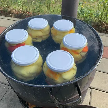 Дом отдыха Seosko Turisticko Domacinstvo Jolovic Veles Гуча