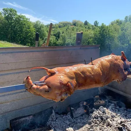 Дом отдыха Seosko Turisticko Domacinstvo Jolovic Veles