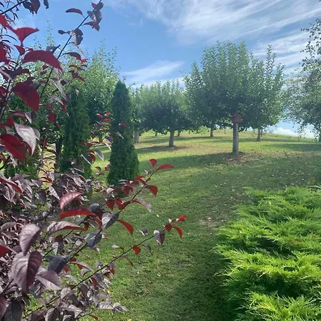 Seosko Turisticko Domacinstvo Jolovic Veles *