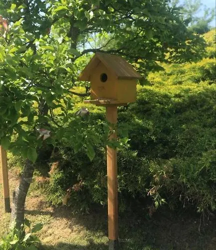 Seosko Turisticko Domacinstvo Jolovic Veles * Guča