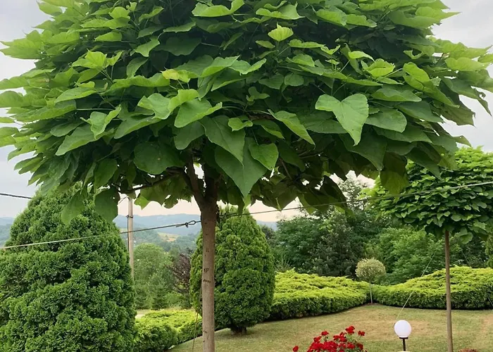 Seosko Turisticko Domacinstvo Jolovic Veles Tatil Evi