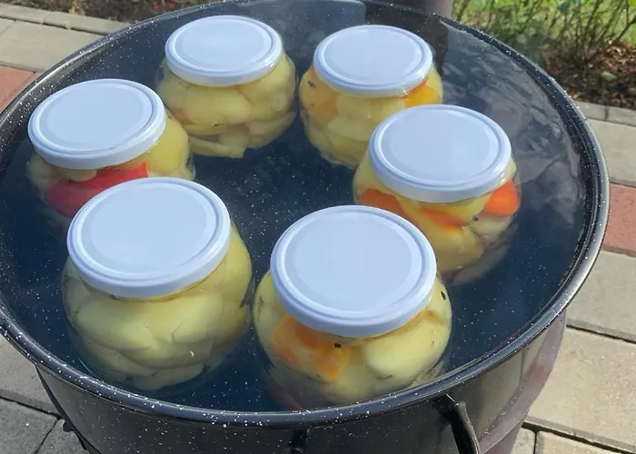 Tatil Evi Seosko Turisticko Domacinstvo Jolovic Veles Guča