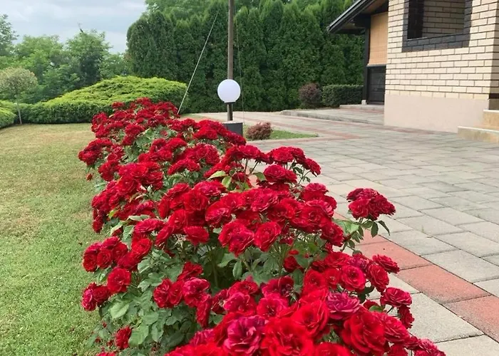 Tatil Evi Seosko Turisticko Domacinstvo Jolovic Veles *